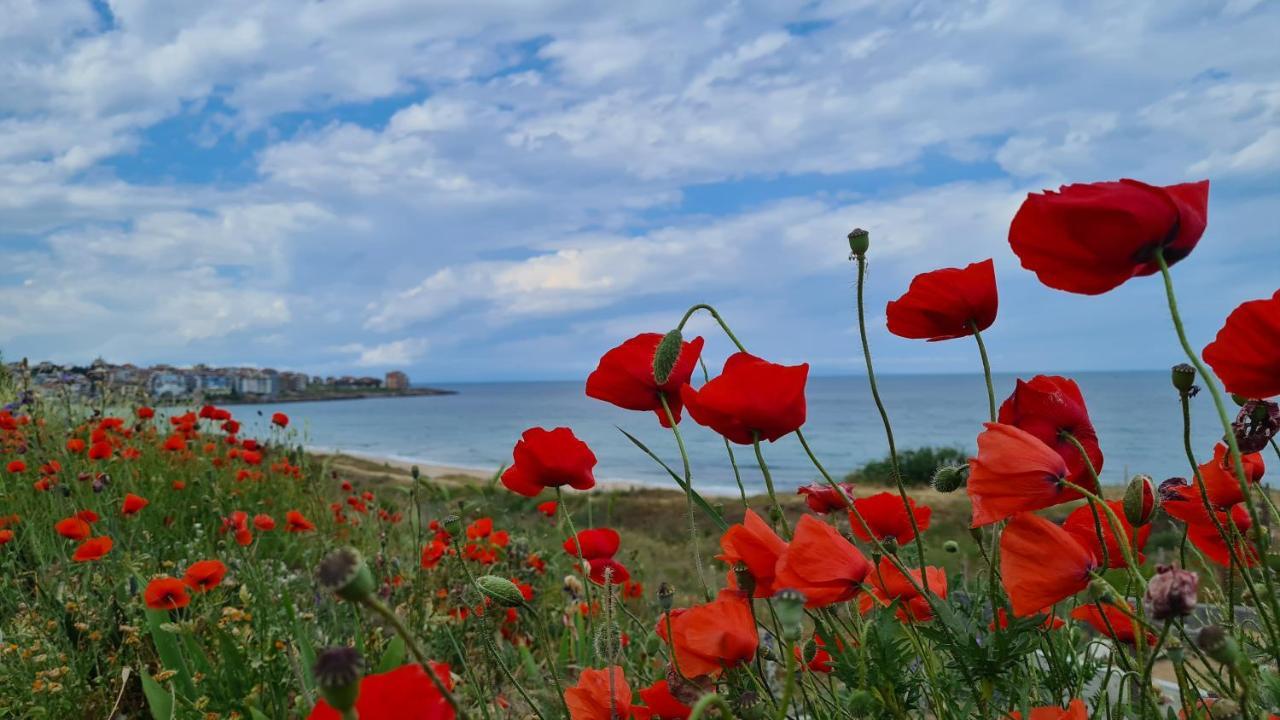 Villa Flora سوزوبول المظهر الخارجي الصورة